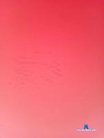 kalvinastur2 cam4 livecam show performer room profile