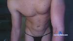 Perrrito8 cam4 livecam show performer room profile