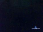 xandysauro cam4 livecam show performer room profile