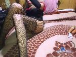 sissyslutboy33 cam4 livecam show performer room profile