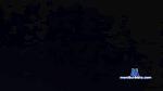 Diversao24h cam4 livecam show performer room profile