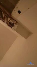 Wandi1998 cam4 livecam show performer room profile