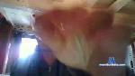 jeffsexlive cam4 livecam show performer room profile