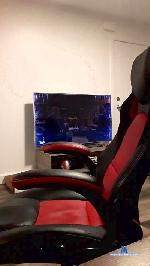 c4balls2milk cam4 livecam show performer room profile