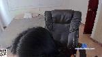 Leoar_ cam4 livecam show performer room profile