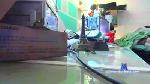 Elinarg cam4 livecam show performer room profile