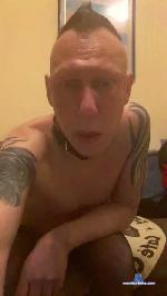 Signorino74 cam4 livecam show performer room profile