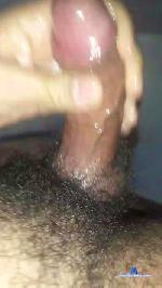 leonas1 cam4 livecam show performer room profile