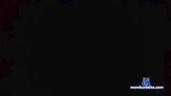 StellaBang cam4 live cam performer profile
