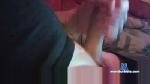 lenstu1 cam4 livecam show performer room profile