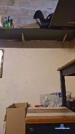 bienvenue4 cam4 livecam show performer room profile