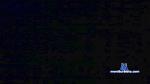 Oscarnoz cam4 livecam show performer room profile