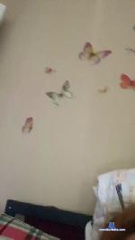 Lalatin24 cam4 livecam show performer room profile