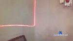 alan_pou cam4 livecam show performer room profile