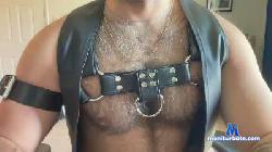 gogoboy120 cam4 live cam performer profile