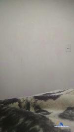 JamTaylor cam4 livecam show performer room profile