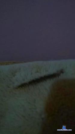 Everton2023 cam4 live cam performer profile