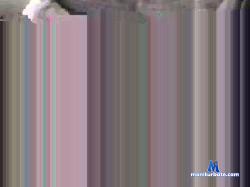 andyfun3 cam4 live cam performer profile