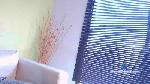 petite_honney cam4 livecam show performer room profile
