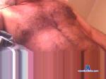 papalapapiro cam4 livecam show performer room profile