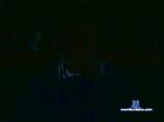 morenosedut2 cam4 livecam show performer room profile
