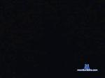 Viole_ cam4 livecam show performer room profile