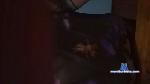 Oliolivia cam4 livecam show performer room profile