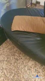 Dreamcoupel cam4 livecam show performer room profile