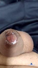 Elpibbe cam4 livecam show performer room profile