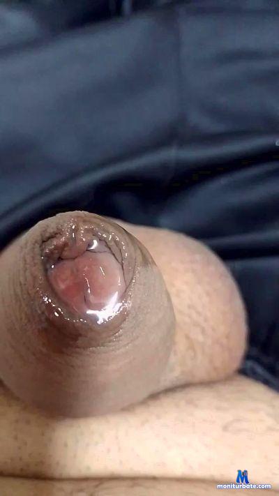 Elpibbe cam4 straight performer from Argentine Republic  