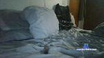 StayHorNY33 cam4 livecam show performer room profile