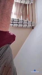 Stevenirl cam4 livecam show performer room profile
