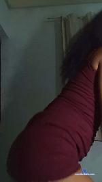Pretaday cam4 livecam show performer room profile