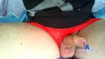 Pollaalm cam4 livecam show performer room profile