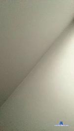 Blushbone cam4 livecam show performer room profile