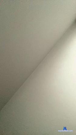 Blushbone cam4 live cam performer profile