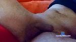 serbani cam4 livecam show performer room profile
