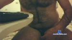 darysko cam4 livecam show performer room profile