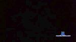 Plane808 cam4 livecam show performer room profile