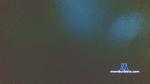 black_ambar cam4 livecam show performer room profile