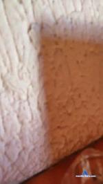 amontone cam4 livecam show performer room profile