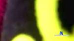 pibe_grosso cam4 livecam show performer room profile