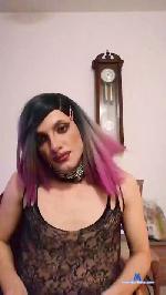 Josh2211221 cam4 livecam show performer room profile