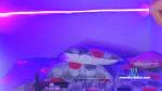 candy_sz cam4 livecam show performer room profile