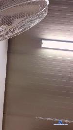 ssilenn cam4 livecam show performer room profile