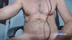 Dazantiga cam4 livecam show performer room profile