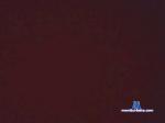 vancuongasia cam4 livecam show performer room profile