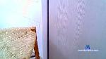panikos31 cam4 livecam show performer room profile