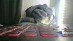 zeke__1961 cam4 livecam show performer room profile