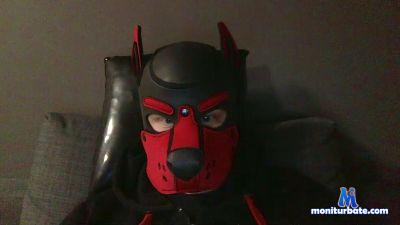 TestFF cam4 gay performer from Federal Republic of Germany bdsm gay puppy 